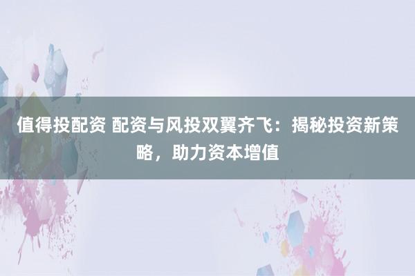 值得投配资 配资与风投双翼齐飞：揭秘投资新策略，助力资本增值