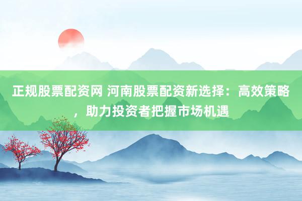 正规股票配资网 河南股票配资新选择：高效策略，助力投资者把握市场机遇