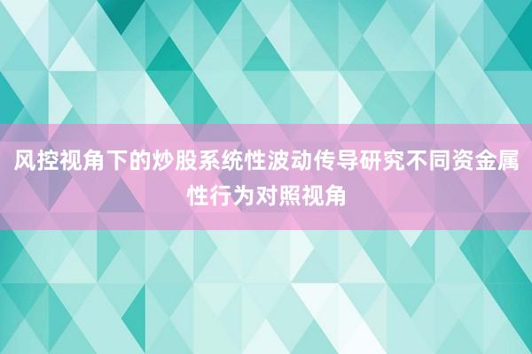 风控视角下的炒股系统性波动传导研究不同资金属性行为对照视角