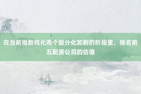 在当前指数钝化而个股分化加剧的阶段里，排名前五配资公司的估值