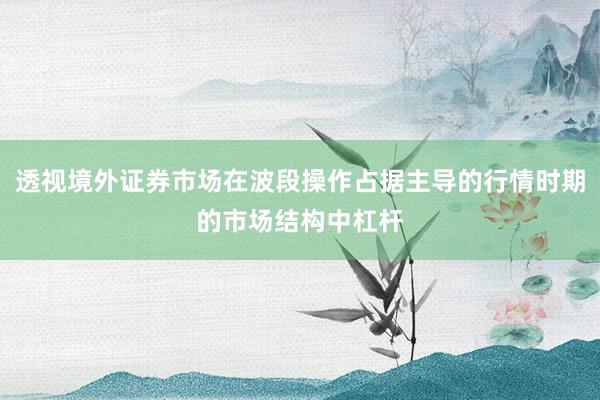透视境外证券市场在波段操作占据主导的行情时期的市场结构中杠杆