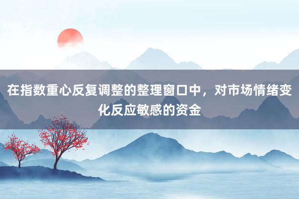 在指数重心反复调整的整理窗口中，对市场情绪变化反应敏感的资金